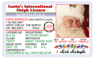 Santa's International Sleigh Driving Licence